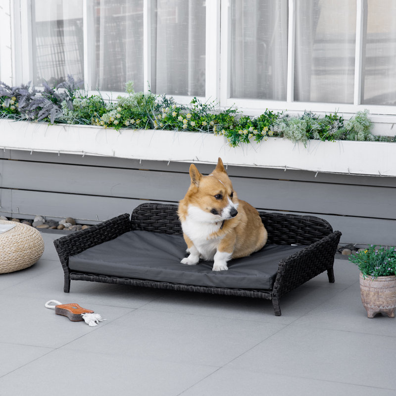 Pet bed raised 2025